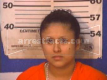 Araceli Saldana Cisneros