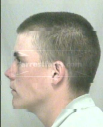 Briceton Trace Hollander