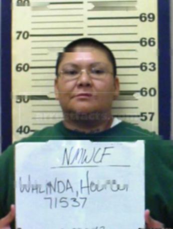 Walinda Holtsoi