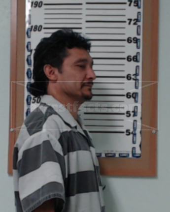 Paulino Flores-Mendoza