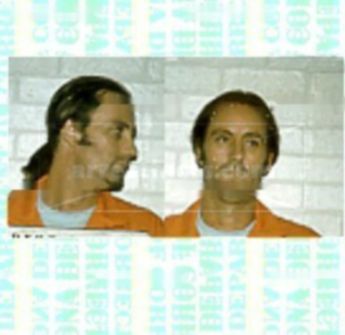 Bruce A Browning