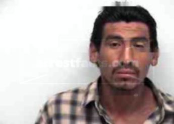 Temo Santibanez