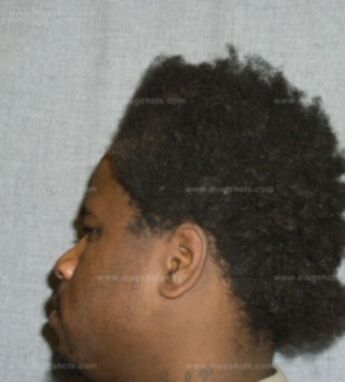 Michael T Brandy Jr.