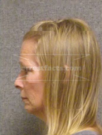 Christina L Warnecke