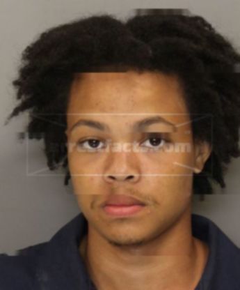 Davis Brandon C