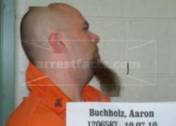 Aaron L Buchholz
