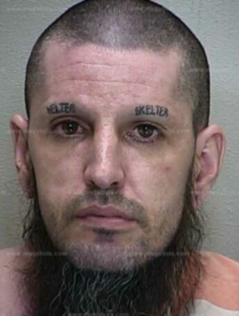 Jason C Law
