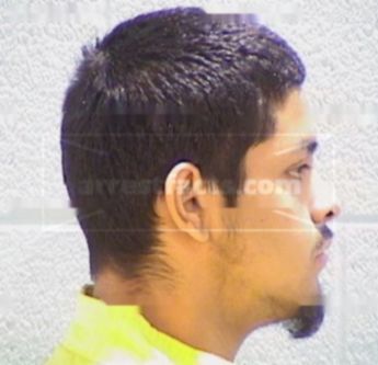 Luis D. Vasquez