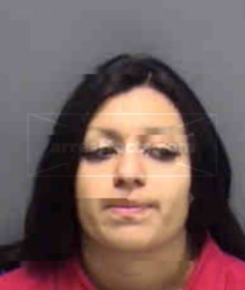 Ashlie Irene Soto