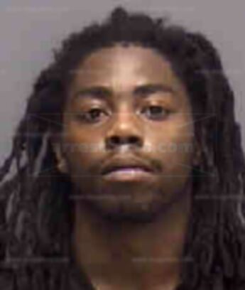 Reese Theodore Mcghee Ii