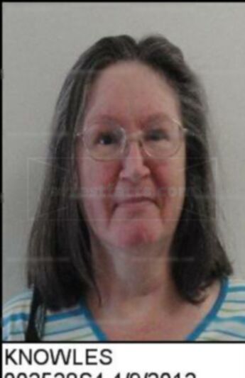 Janet Faye Knowles