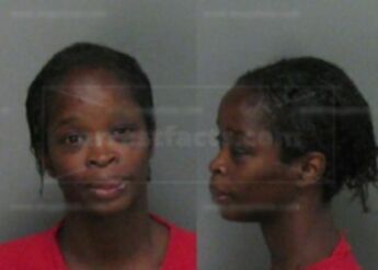 Belinda Ann Jenkins