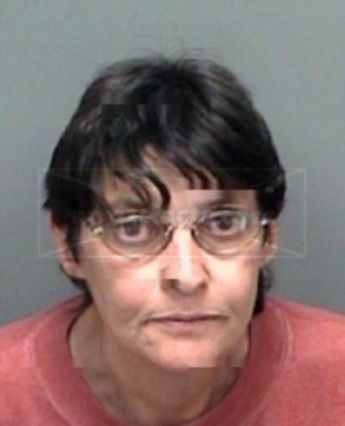 Judy Carol Hetrick