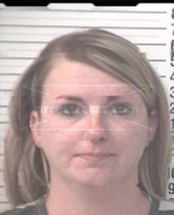 Amy Lee Mitchell