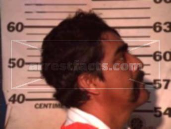 Alejandro Luna Banda