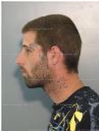 Michael Paul Delfino