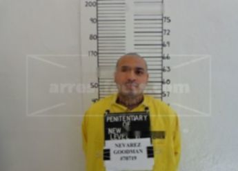 Marc David Goodman-Nevarez