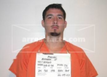 Ricardo Allan Pulido