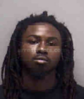 Reginald Erice Bronson Jr