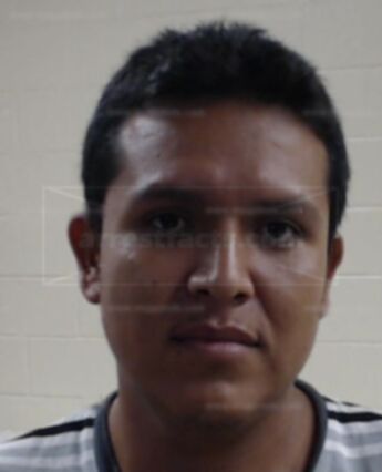 Loza Oliver Gonzalez