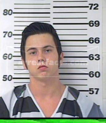 Nathan Wade Watkins