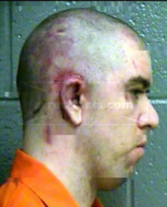Dustin D Bristow