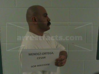 Cesar Mendez-Ortega