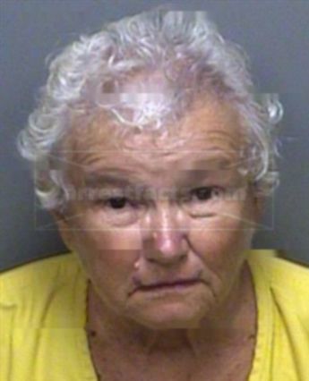 Janet Mayott Gillespie