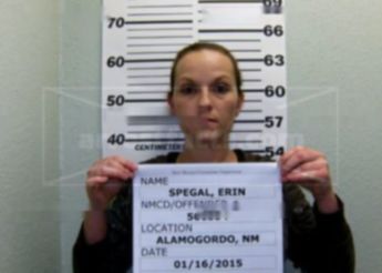 Erin Ann Spegal
