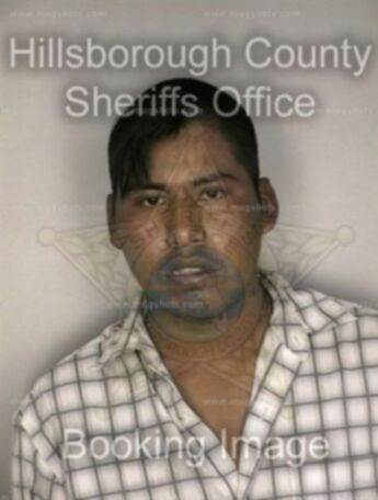 Nicolas Hernandez