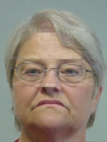 Mary E Wilson