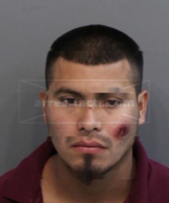 Juan Carlos Flores-Martinez