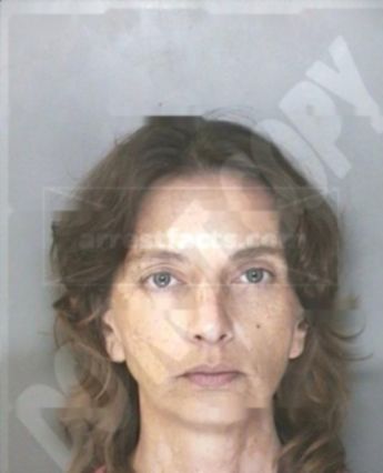 Lorrie B Redington
