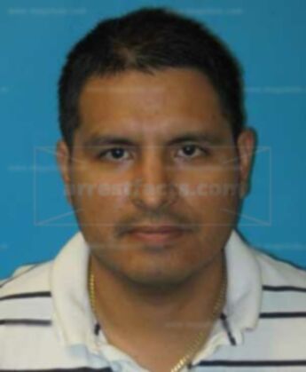 Michael M Alvarado