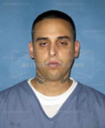 Dominic Napolitano