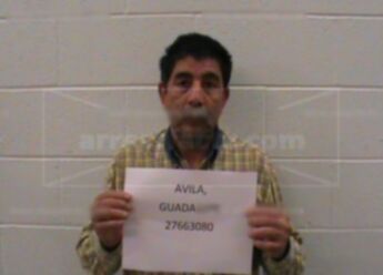 Guadalupe Avila
