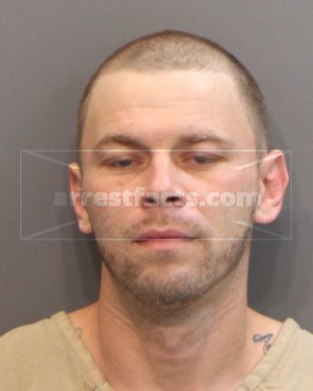 Nicholas J Shelton
