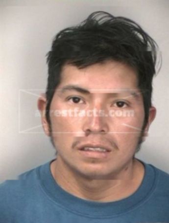 Tono M Perez