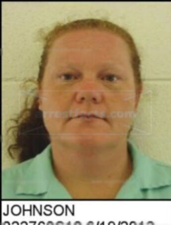 Robin Denise Johnson