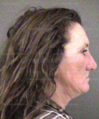 Karen L Shepherd