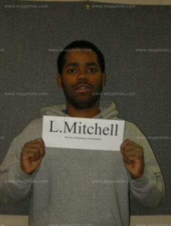 Lincoln R Mitchell