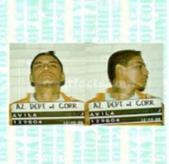 Jose L Avila
