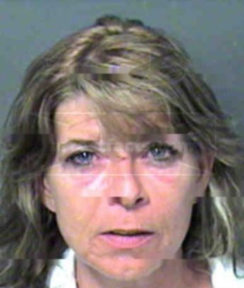 Nancy Lynn Woodcock