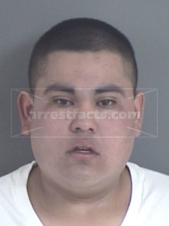 Juan L Romero-Garcia