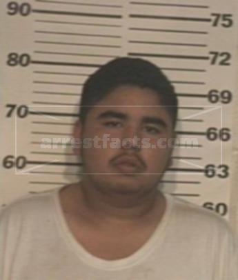 Nery Jr Castillo Gonzalez