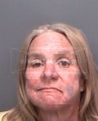 Janis Lyn Havener