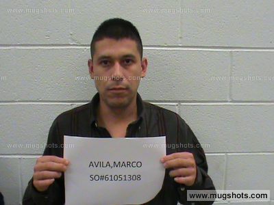 Marco Avila