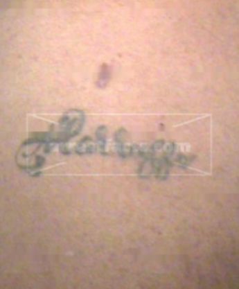 Alfredo R Marruffo Jr.