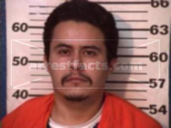 Juan Nicolas Mena Dominguez