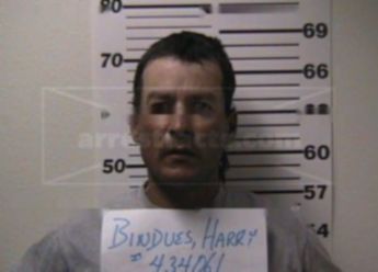 Harry Virgil Bindues